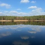 Nejlepší techniky lovu na splávek